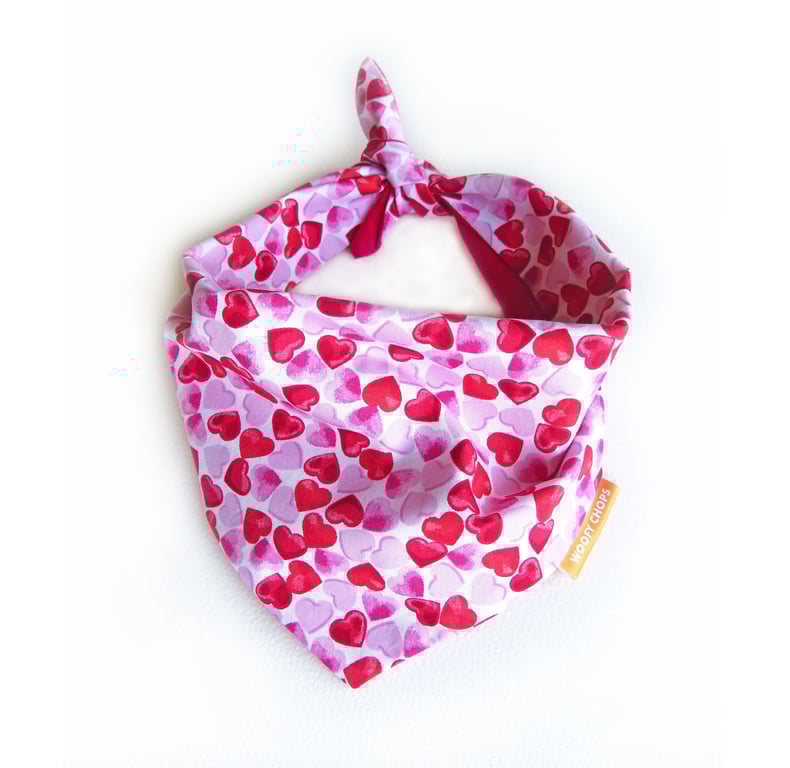 Love Hearts Valentines Dog Bandana - Medium