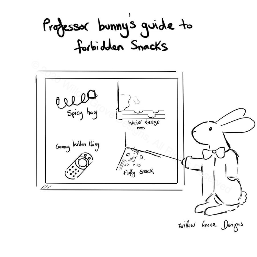 Professor Bunny "Forbidden Snacks" - Art Print