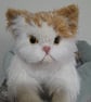 Persian Kitten, dotpebblesknits design, Knitted Cat  - Image 2