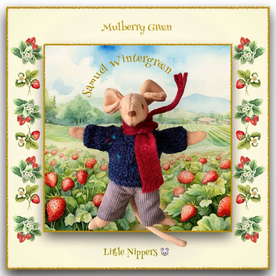 Samuel Wintergreen - a Little Nipper from Mulberry Green 