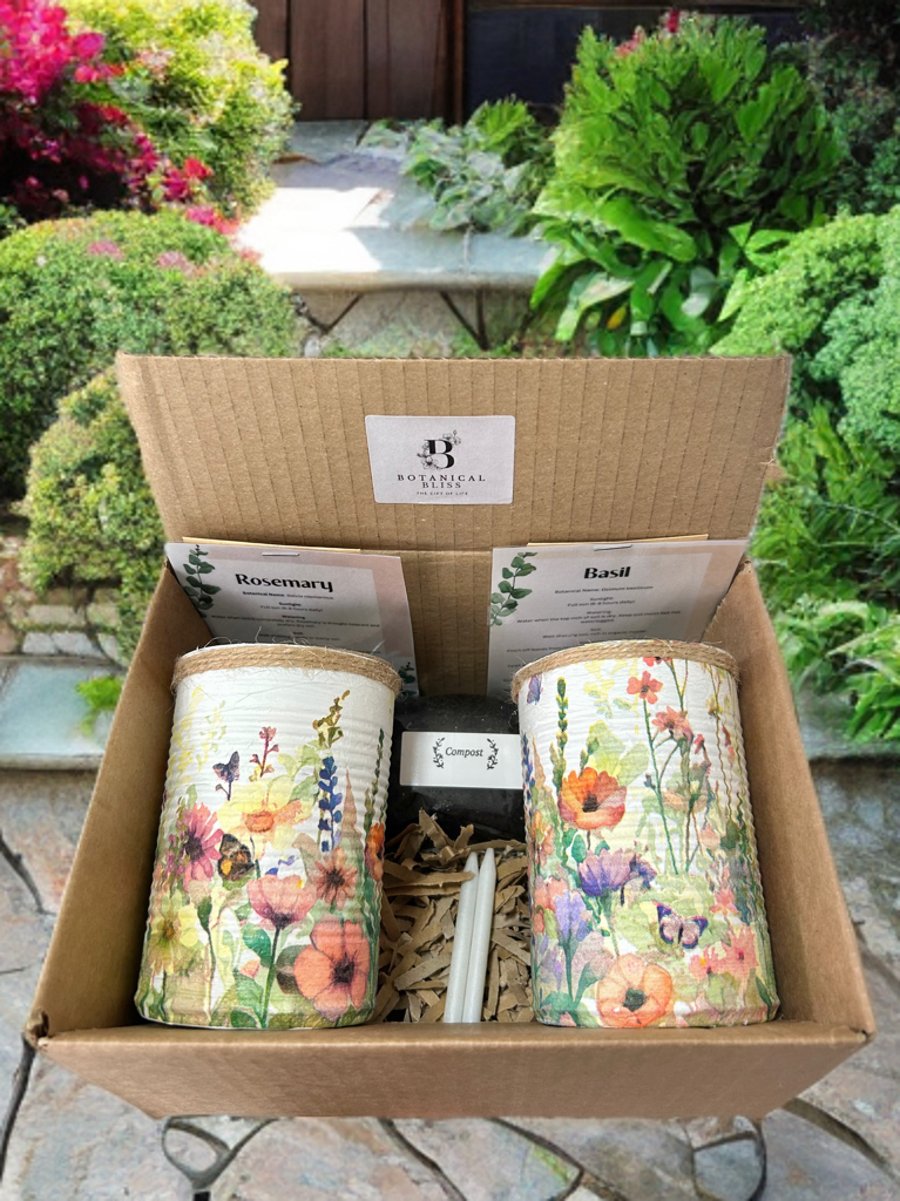 Fresh Meadow Garden Handmade Recycled Eco-Friendly Indoor Kitchen Herb Gift Set