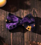 Halloween dog dikie bow
