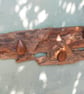 Blitz Timber 5 - Image 5