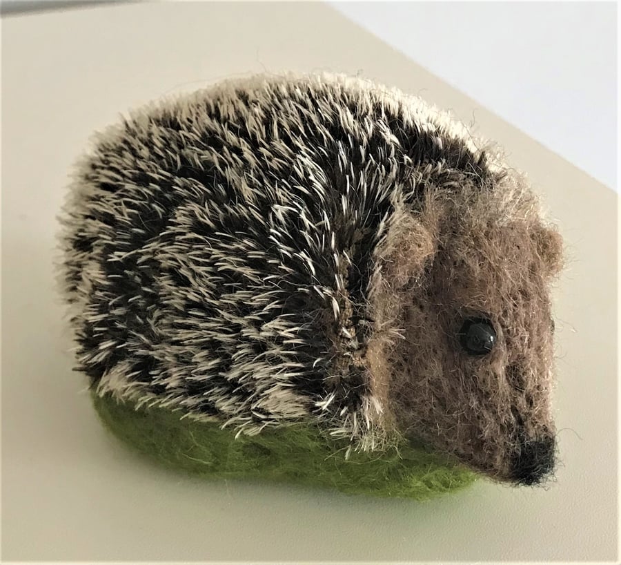 Hedgehog