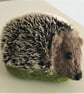 Hedgehog - Image 1