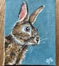 Wild rabbit original painting - Image 3