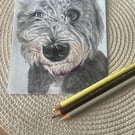 Custom pet portraits - Hand drawn 