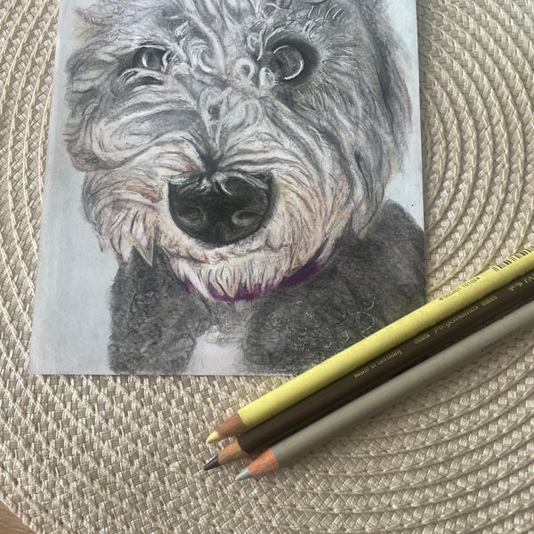 Custom pet portraits - Hand drawn 