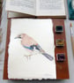 Original Watercolour Jay Painting Unframed - Image 2