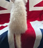 Little cross breed puppy dog - Image 4