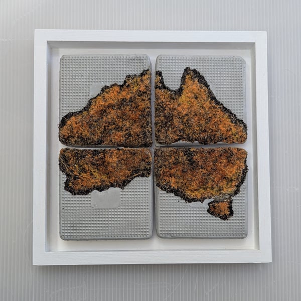 No Man is an Island - Bushfires I FRAMED