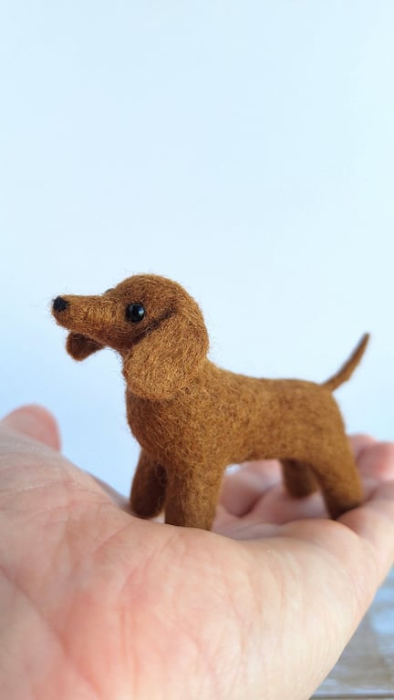Wee Sausage Dogs