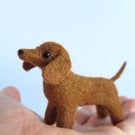 Wee Sausage Dogs