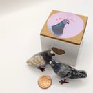 Tiny Pigeon Gift-box 