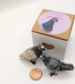 Tiny Pigeon Gift-box 