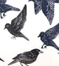 Starlings - Image 2