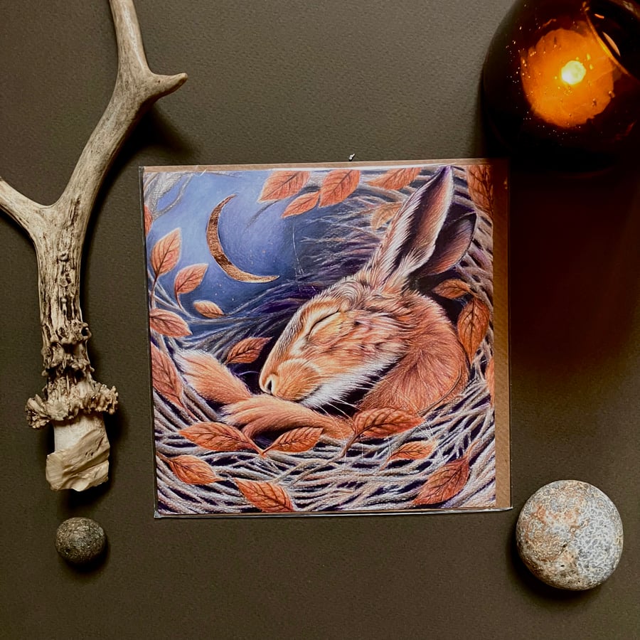 Midnight Hare Blank Greeting Card