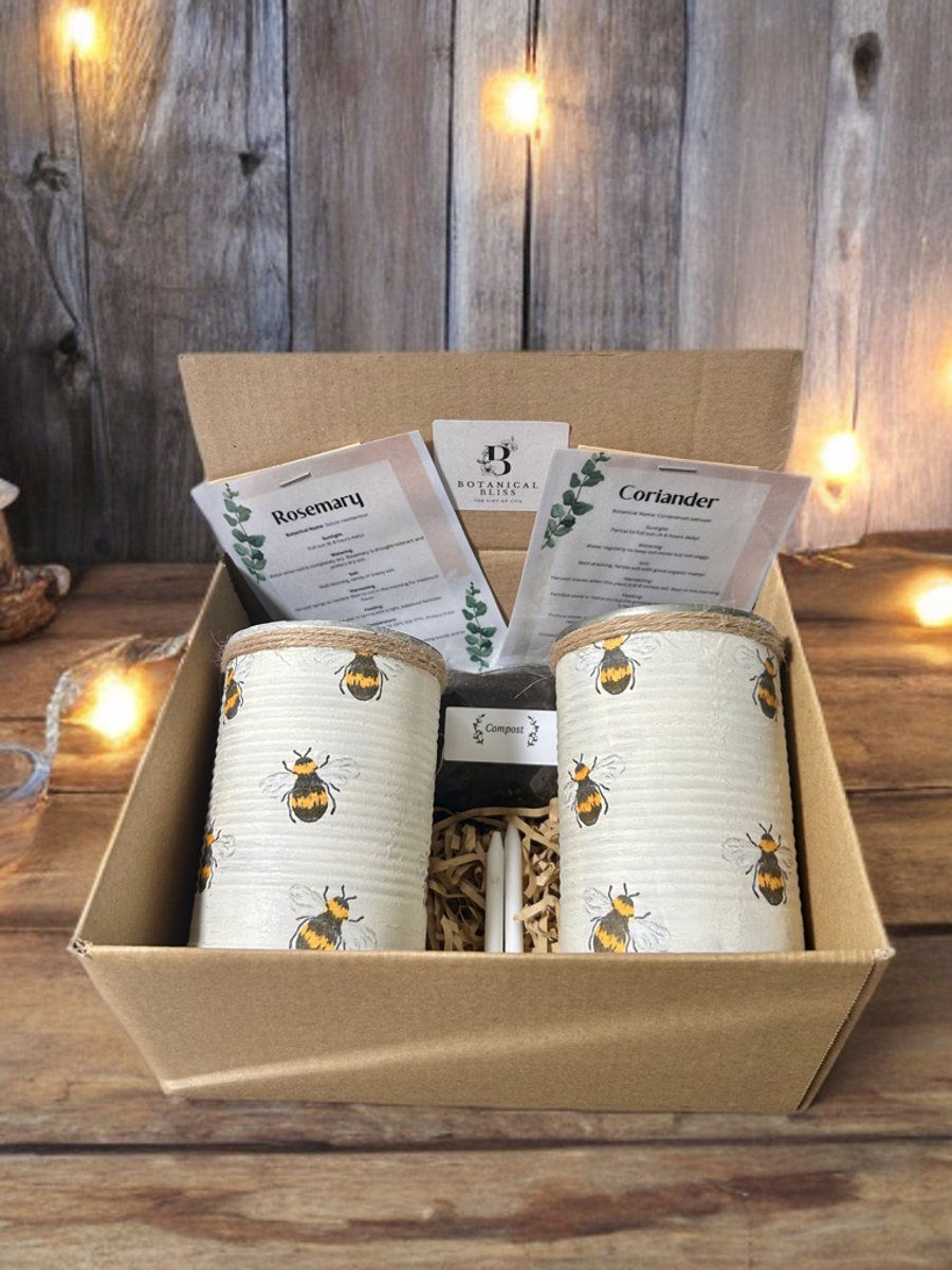 Boho Rustic Bee Handmade Recycled Eco-Friendly Indoor Kitchen Herb Gift Set