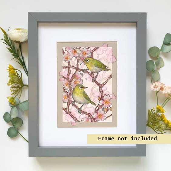 Japanese white-eye birds on spring blossom branches, original bird drawing