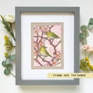 Japanese white-eye birds on spring blossom branches, original bird drawing