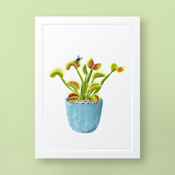 Venus Fly Trap A4 Art Print