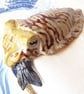 Cuttlefish Ceramic Sculpture - Handmade - Image 8