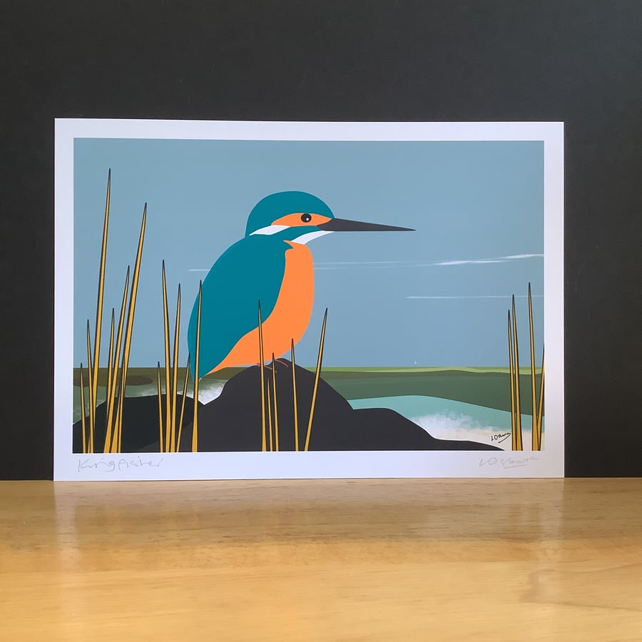 Kingfisher - A5 signed bird print