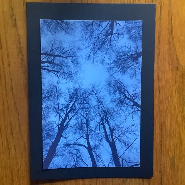 Handmade photo card of winter trees forming the shape a 'Star' 