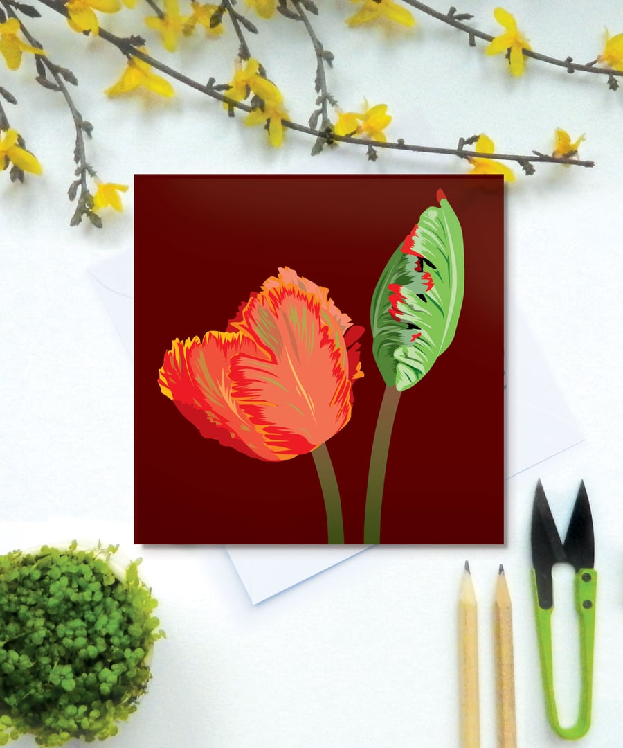 Red Parrot Tulip Card - Spring, Birthday, Floral