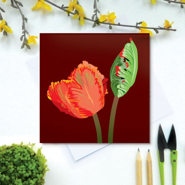 Red Parrot Tulip Card - Spring, Birthday, Floral