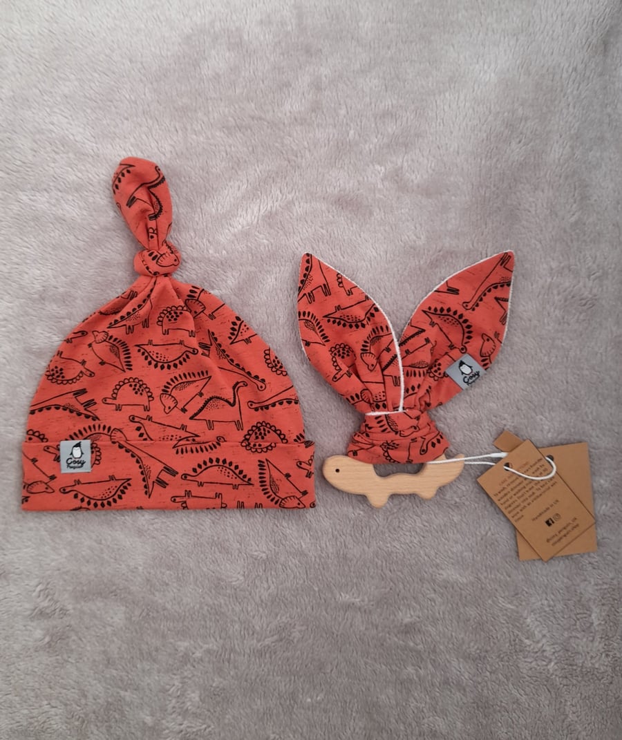 ROAR-ange Dinosaur Gift Set 1
