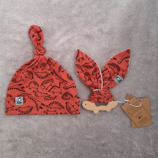ROAR-ange Dinosaur Gift Set 1