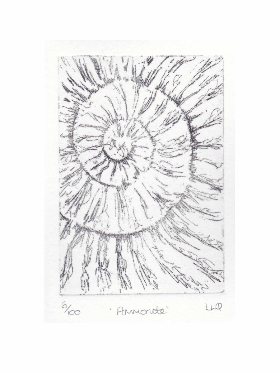 Etching no.6 of an ammonite fossil in an edition of 100