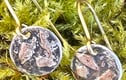 Lichen and moss 