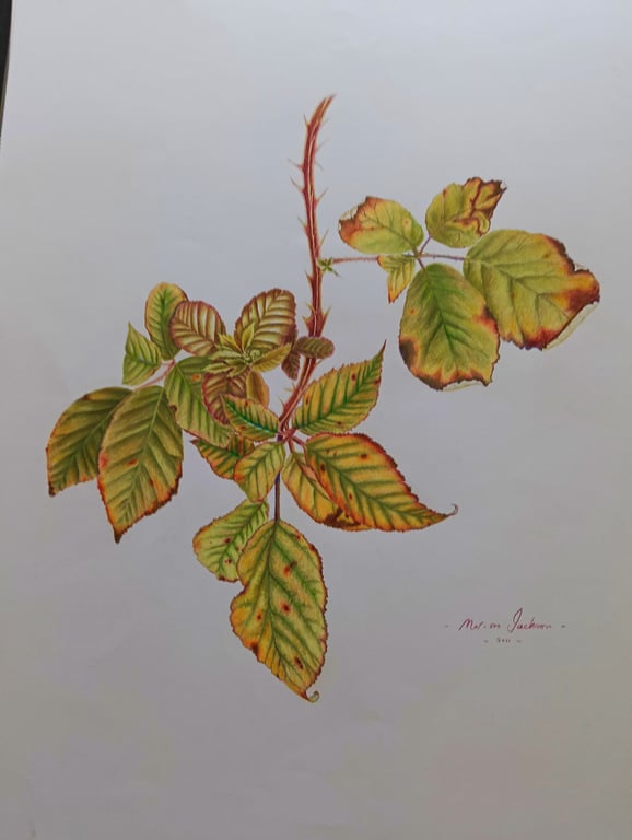 A HINT OF AUTUMN 