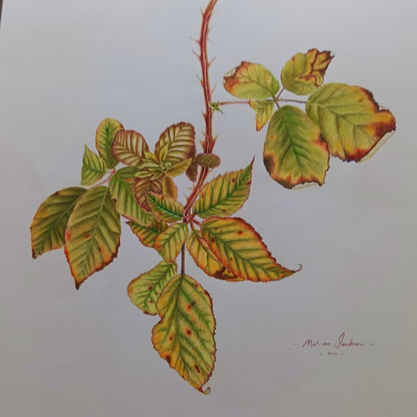 A HINT OF AUTUMN 