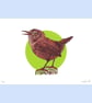 Wren, 4-colour screen print - Image 2