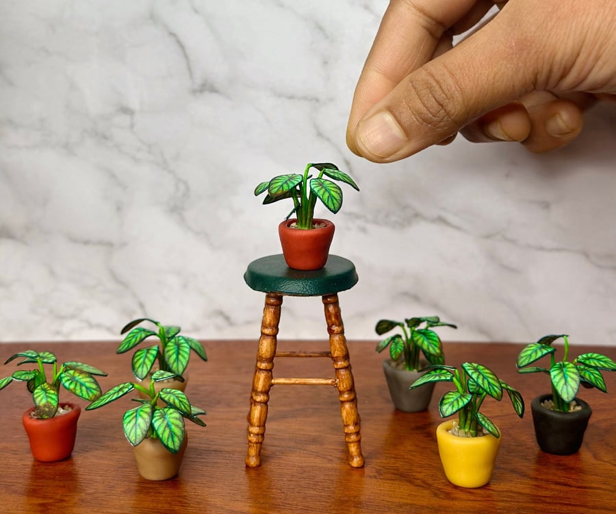Miniature Alocasia 'Dragon Scale' Plant - Handmade, 1:12 Scale, Dollhouse plant
