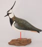 Lapwing - Image 3