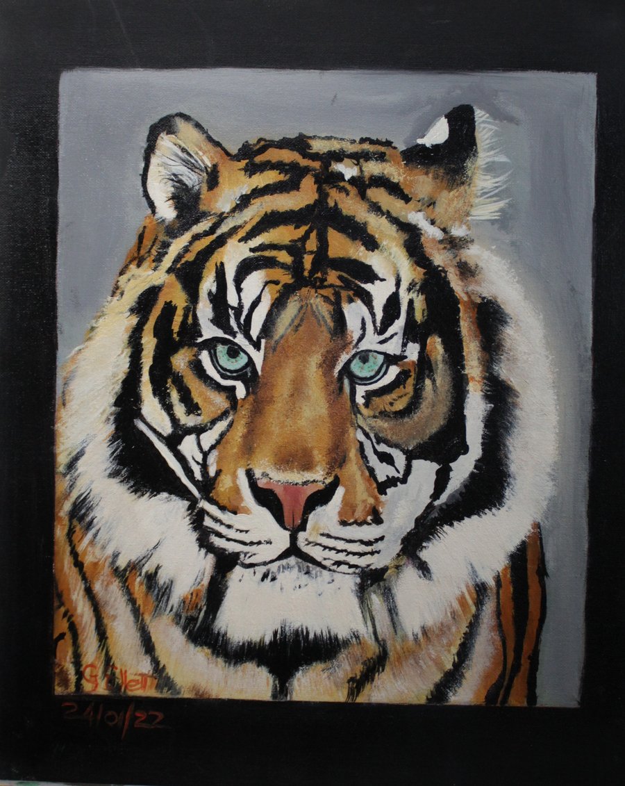 "You looking at me" Tiger