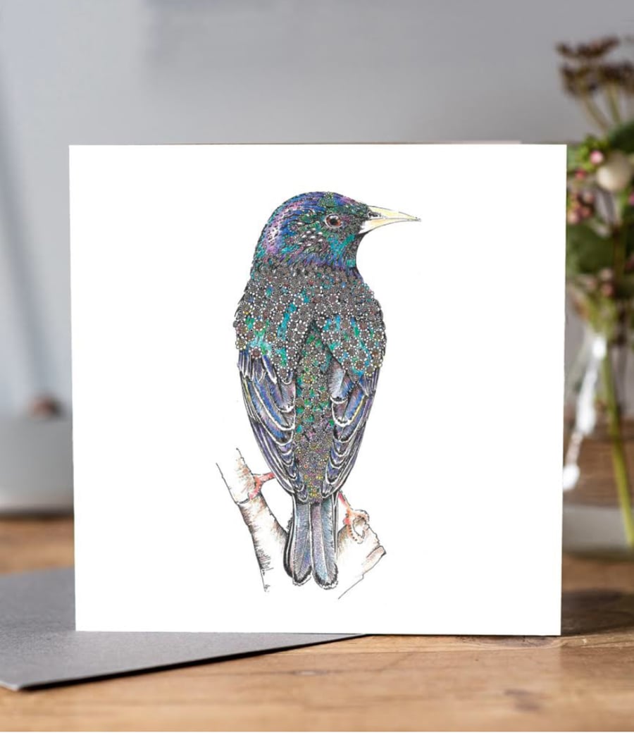Brand new Starling greeting card