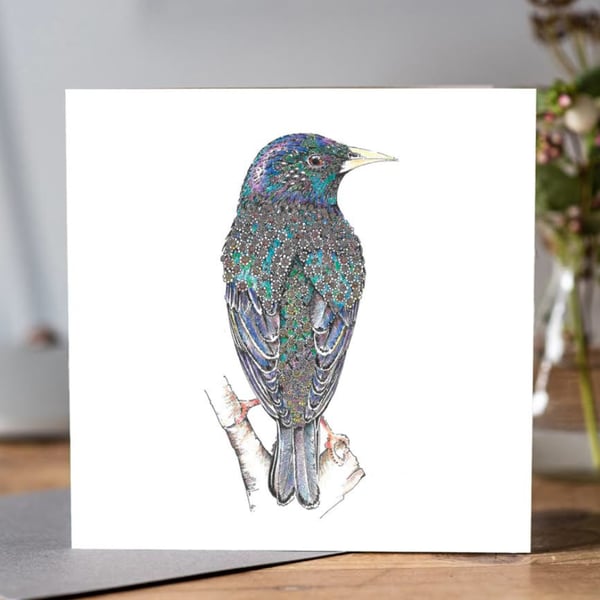 Brand new Starling greeting card