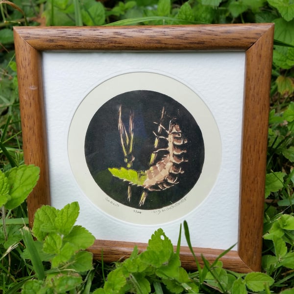 Limited edition reduction & multiplate linocut of glow worm 'Glow'