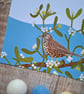 Mistle Thrush and Mistletoe Gift Notes