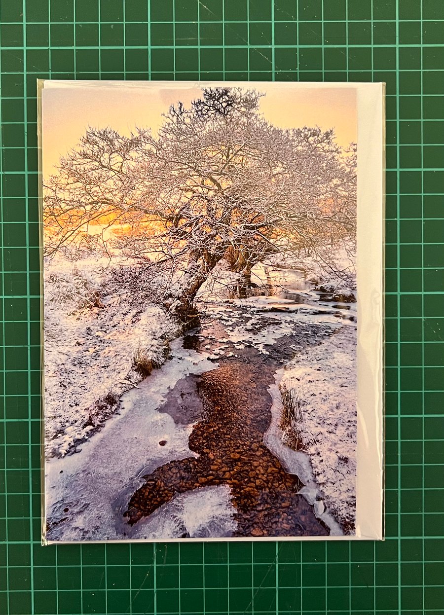 Cod Beck, Osmotherley, North Yorkshire 