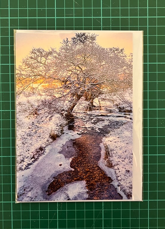 Cod Beck, Osmotherley, North Yorkshire 