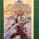 Cod Beck, Osmotherley, North Yorkshire 