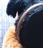  Dog Faux Taxidermy Head Wall Decoration - Perfectly Imperfect - Image 6