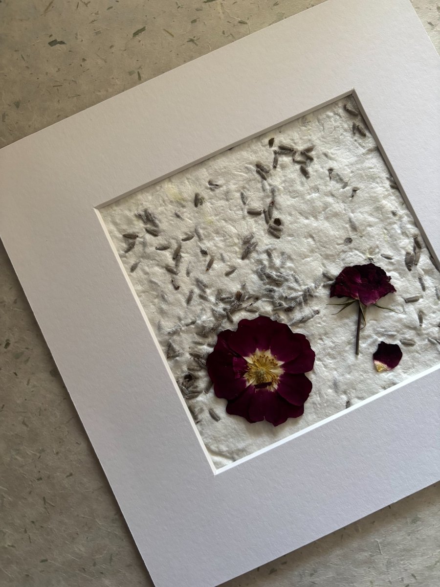 Original Pressed Floral Art, Handmade Paper, with Mount