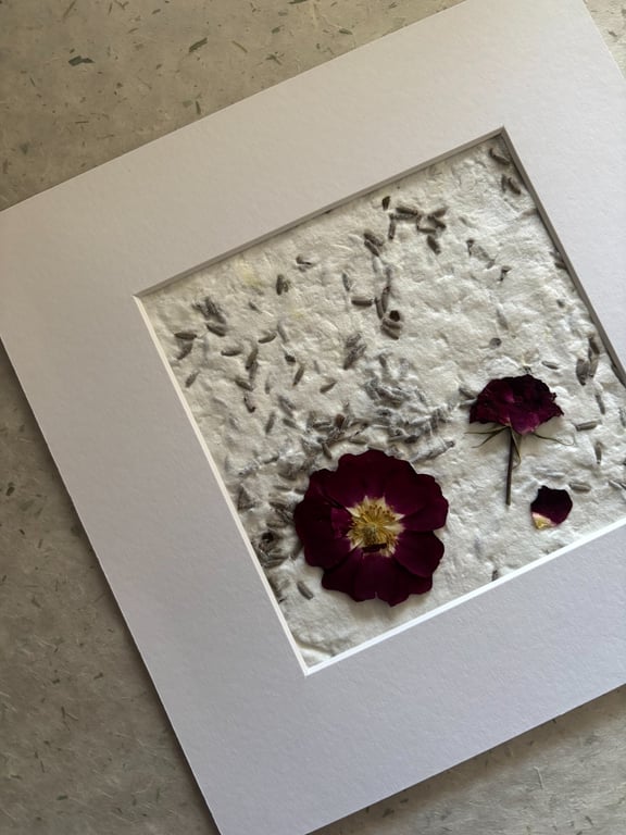 Original Pressed Floral Art, Handmade Paper, with Mount
